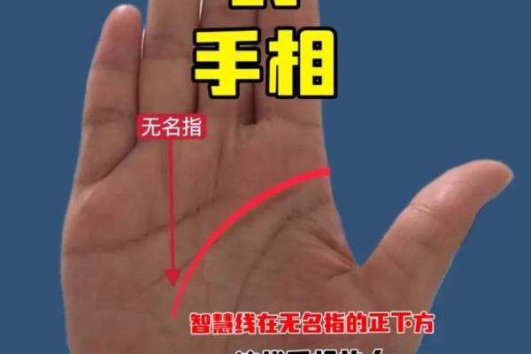 揭秘手相五行缺的秘密：掌握命运，改写人生