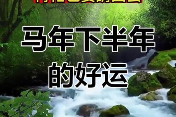 马年姻缘揭秘：最适合你的那一位