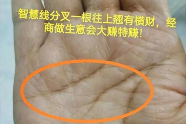 揭秘右手川手相秘籍：一图掌握人生运势与事业财运
