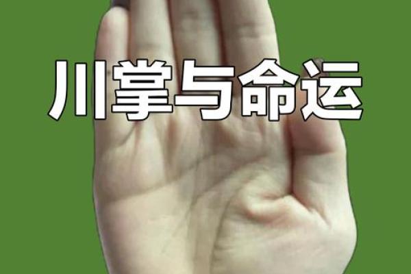 川字掌纹：揭秘女性运势巅峰的秘密