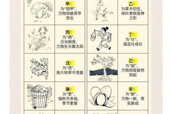 天干地支与身体关系，健康调理新思维