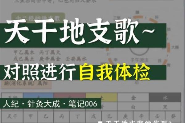 天干地支与身体关系，健康调理新思维