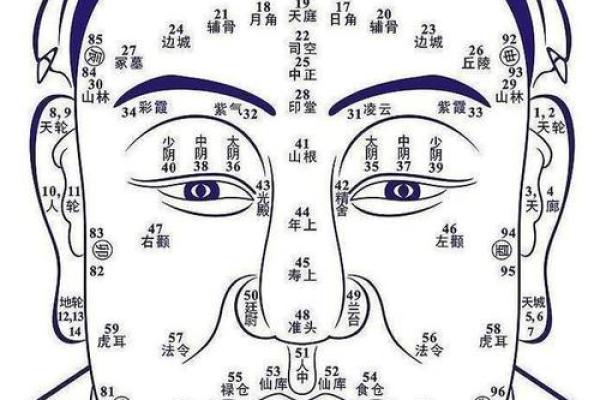 痣相美女图鉴，揭秘面相中的神秘力量