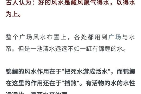 板栗风水之谜：揭秘家居布局中的黄金法则