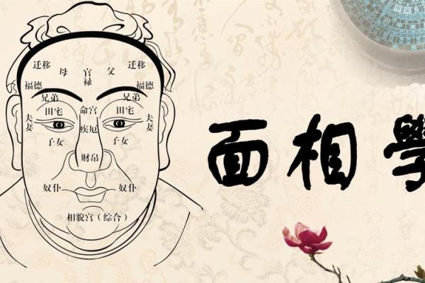 易经揭秘：面相解码，一窥命运玄机