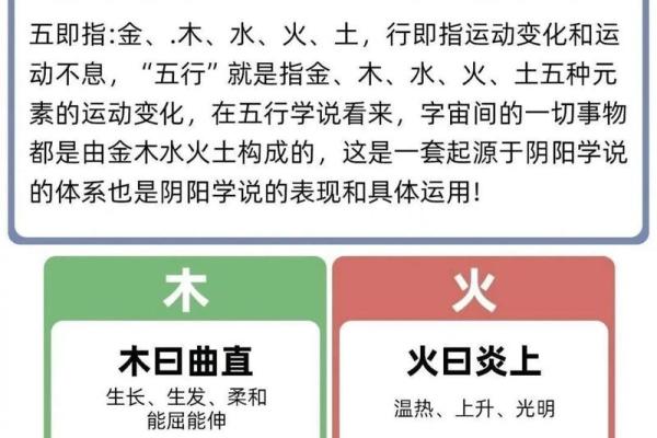 揭示行属什么，助你找到人生关键点