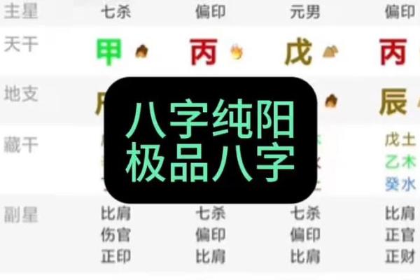 纯阴纯阳八字如何影响事业和感情走向？