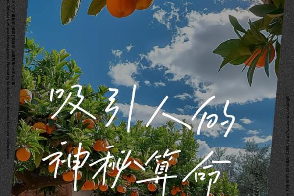 识面达人：揭开面相密码，解锁命运之门