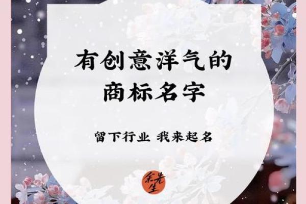 洋气与创意并存！最具吸引力的公司命名技巧