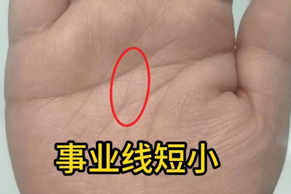 手相揭秘：事业线末端分叉预示着怎样的命运转折？