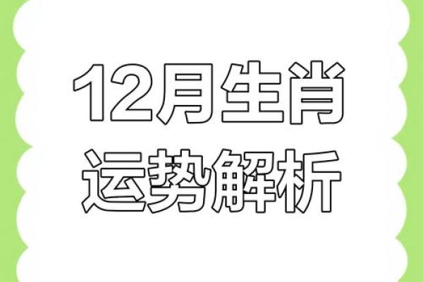 生肖揭秘：猜猜你是哪个生肖，运势大揭秘