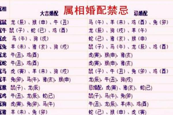 星座属相配对指南：速来查看，你的天定良缘在这里