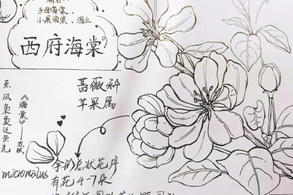 探索植物命名艺术，让名字更具生命力