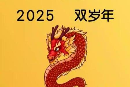 龙年属相，运势爆棚，快来一探究竟