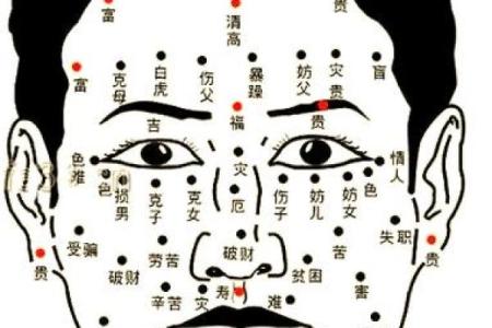 揭秘五官密码：高级面相培训班，教你一眼识人