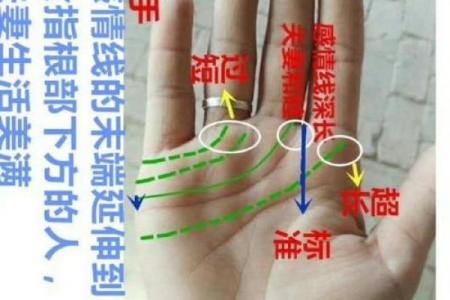 揭秘断掌手相：太阳线预示的惊人命运