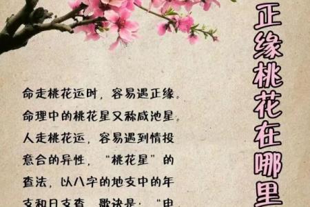 四柱八字详解：如何借助命理调整运势