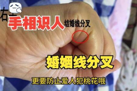 手相揭秘：女性三线婚姻线，预示着怎样的感情命运？