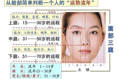 流年运势解码：面相洞察，揭秘你的人生转折点