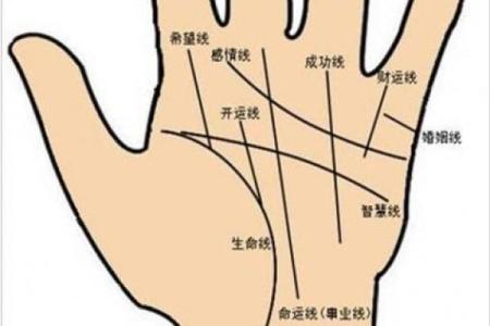 左手食指有痣，你的运势如何？一探究竟
