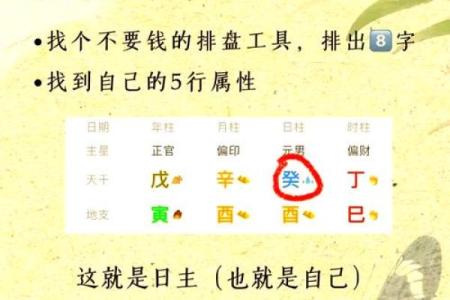 八字揭秘：从命理看你的身材走向