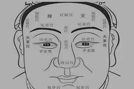 揭秘贼眉鼠眼面相：看透人心，掌握运势