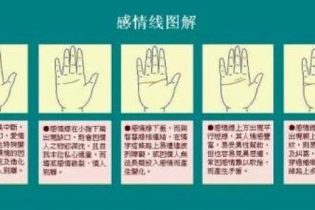 揭秘手相奥秘：掌握这些基本常识，轻松看透命运