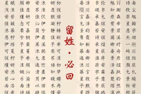 周公起名：如何用古老智慧为宝宝起个响亮名字