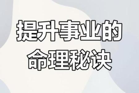 八字事业分析：如何通过命理助力职场