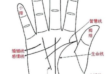 手相揭秘：揭秘那些频繁离婚女性的命运轨迹