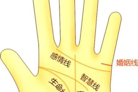 手相揭秘：男人儿女缘浅，一查便知