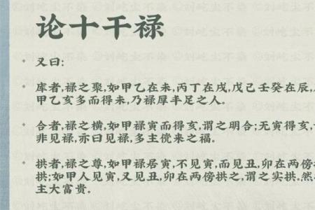 揭秘天干禄库与命运之间的微妙关系