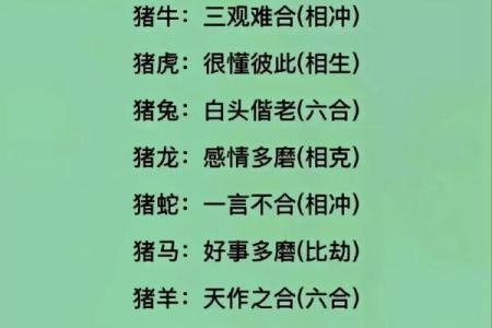 生肖秘语：揭秘十二生肖背后的神秘力量