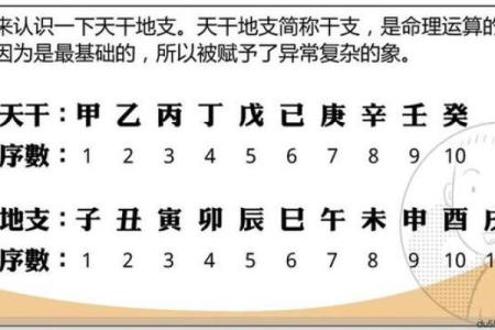 八字解读健康运势，如何通过命理调整身体状态