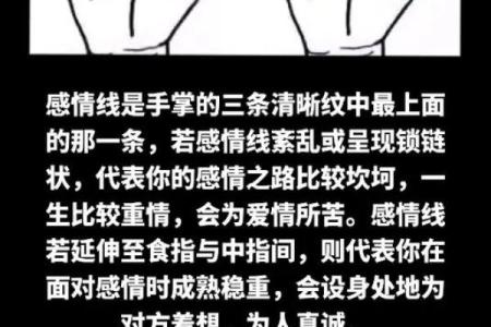 揭秘手相秘密：从浓情蜜意到淡淡痕迹，感情线深度解析