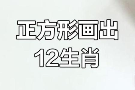 十二生肖简笔画大全，轻松绘制生肖萌宠