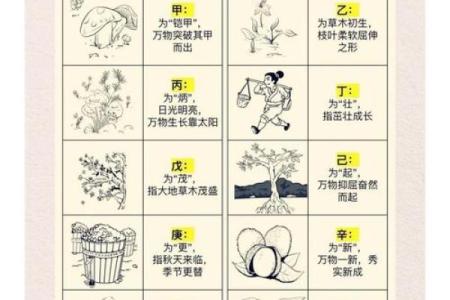 天干地支与身体关系，健康调理新思维