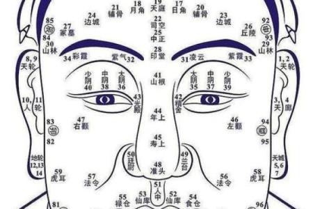 痣相美女图鉴，揭秘面相中的神秘力量
