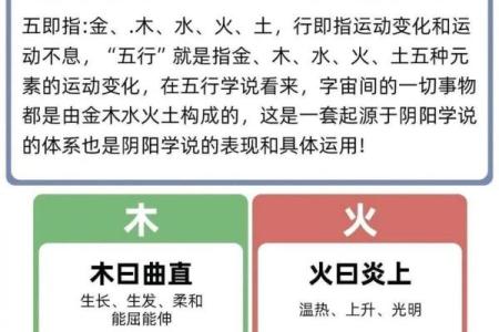 揭示行属什么，助你找到人生关键点