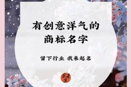 洋气与创意并存！最具吸引力的公司命名技巧