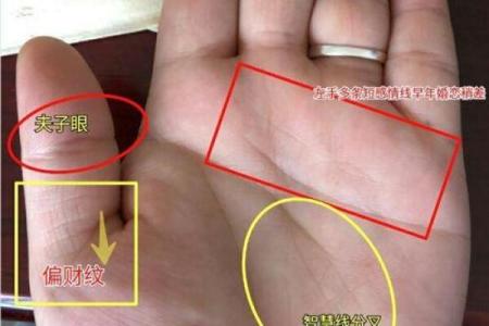 手相揭秘：事业线末端分叉预示着怎样的命运转折？