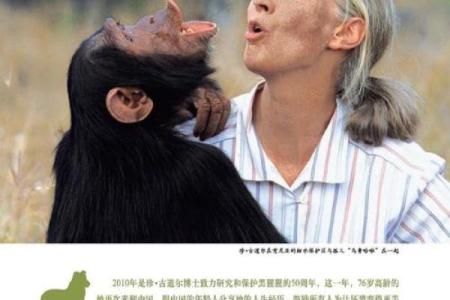 神秘前世：右手痣见证的传奇人生