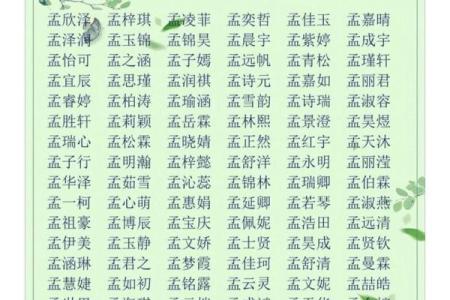 孟德起名秘籍：提升孩子运势的关键技巧