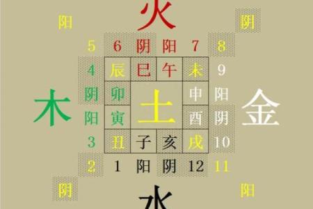 地支五行对照表：让你看懂命运的秘密