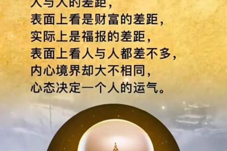 揭秘面相中的财富密码：一眼识破你的财运走向