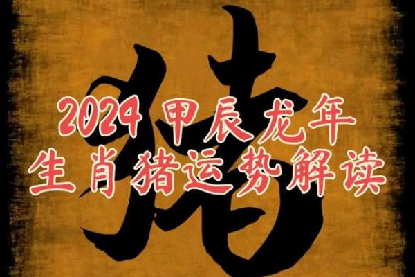 2016年生肖运势大揭秘：运势起伏，财运亨通