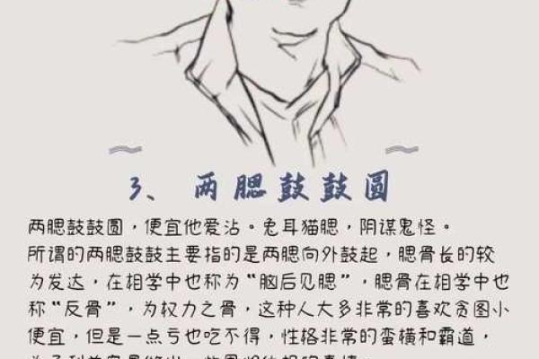 慈安面相解析：揭秘富贵吉祥的秘密面相特征