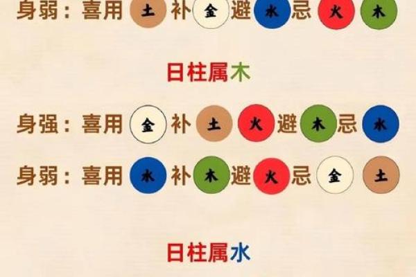 乙未八字命盘：如何通过五行调整提升运势
