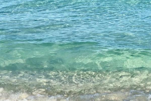 大海水命，揭秘神秘体质