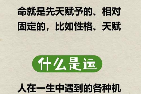 揭秘手相奥秘：掌握命运，解锁人生财富密码